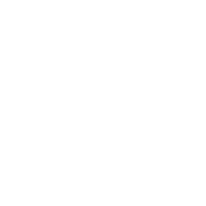 Experts Partners